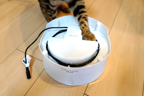 猫の自動給水器 ピュアクリスタル セラミックス を1年間愛用してみた感想 ベンガル猫のテトとピノ