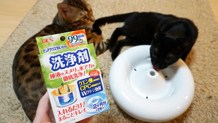 ピュアクリスタル専用の洗浄剤で自動給水器を徹底的にお掃除しました ベンガル猫のテトとピノ