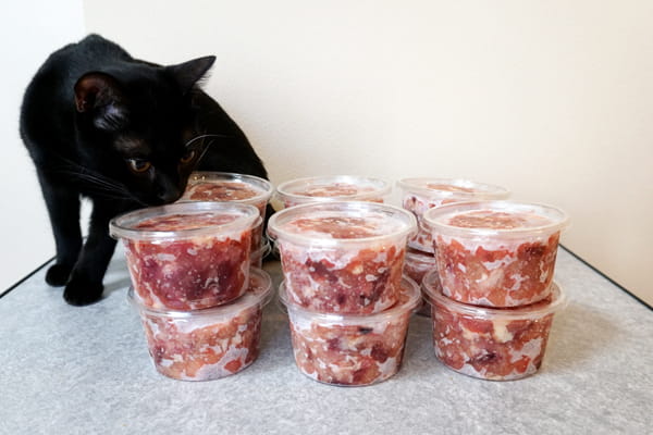 猫に生肉を与える効果やメリット 生肉主食の猫達の実態を紹介します ベンガル猫のテトとピノ 猫に生肉を与える効果やメリット 生肉主食の猫達の実態を紹介します ベンガル猫のテトとピノ