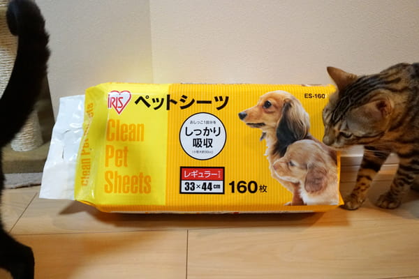 猫用システムトイレのシート】9種類のコスパや使用感を実際に使って