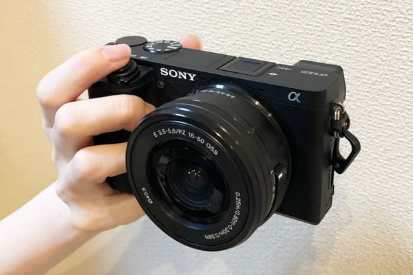 元カメラマンが厳選 猫を撮影するのに初心者でも簡単なおすすめカメラを紹介 ベンガル猫のテトとピノ