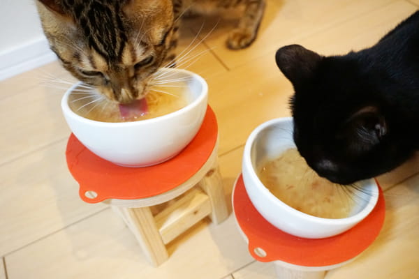 おすすめ猫おやつの「だしスープ」