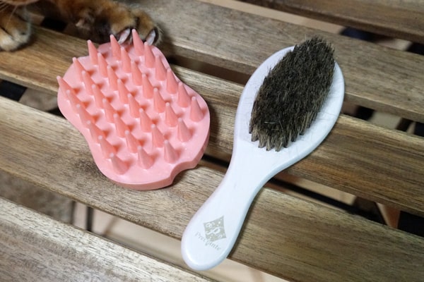 ベンガル猫におすすめの猫ブラシとは?】シングルコートでも使える