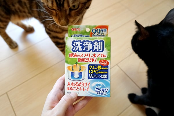 猫の自動給水器 ピュアクリスタル セラミックス を1年間愛用してみた感想 ベンガル猫のテトとピノ