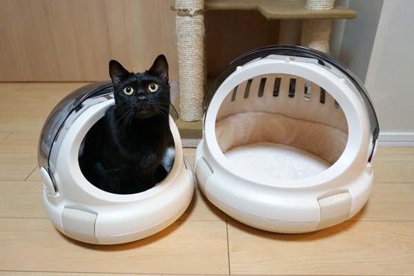 猫も満足な快適キャリー リッチェルの コロル おでかけネコベッド ベンガル猫のテトとピノ