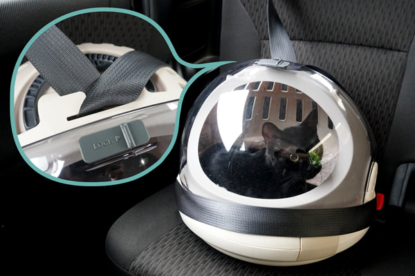 猫も満足な快適キャリー リッチェルの コロル おでかけネコベッド ベンガル猫のテトとピノ