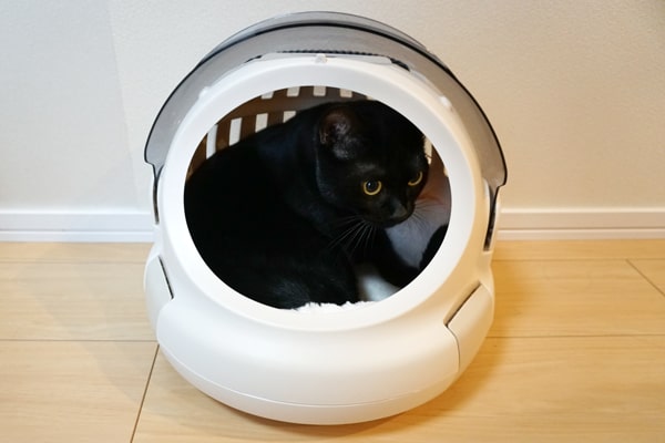 猫も満足な快適キャリー リッチェルの コロル おでかけネコベッド ベンガル猫のテトとピノ