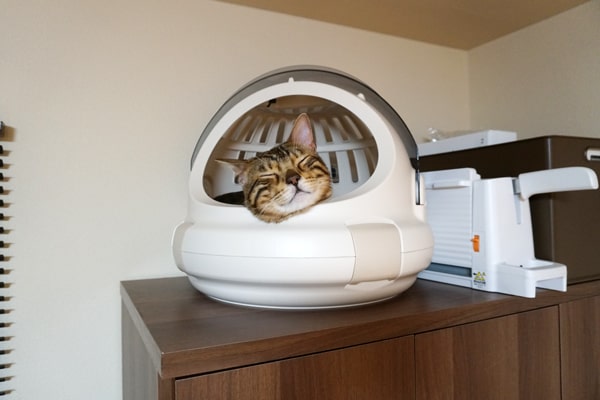 猫も満足な快適キャリー リッチェルの コロル おでかけネコベッド ベンガル猫のテトとピノ