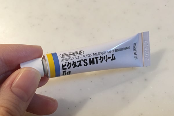 猫の指間炎 肉球の間に炎症が 治療方法と完治するまでの経過記録 ベンガル猫のテトとピノ