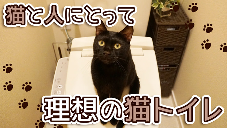 猫と飼い主にとって理想のトイレとは システムトイレのすゝめ ベンガル猫のテトとピノ