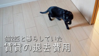 猫2匹と2年間暮らした賃貸の退去費用 敷金はいくら返ってきた ベンガル猫のテトとピノ