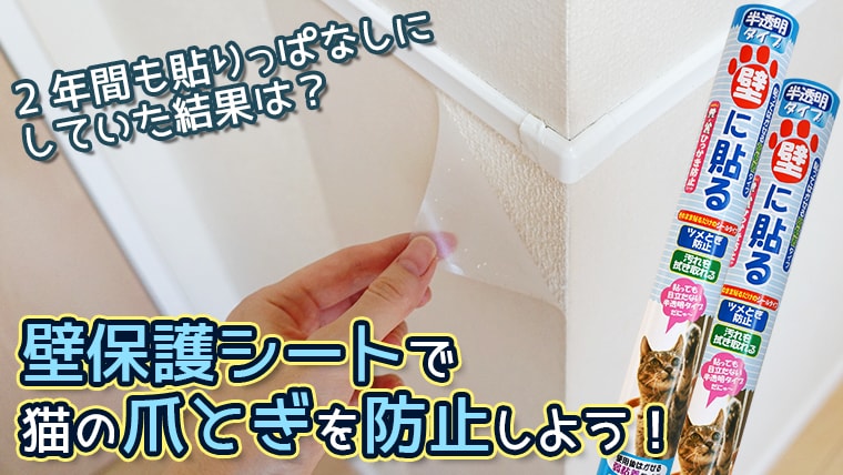 猫の爪とぎ防止に大活躍 壁保護シートの効果的な使い方と2年間貼り続けた結果 ベンガル猫のテトとピノ