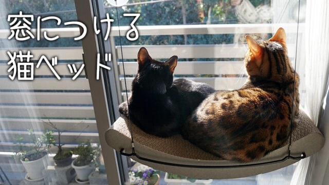 吸盤で貼り付ける 猫用窓ベッドを使ってみた ベンガル猫のテトとピノ