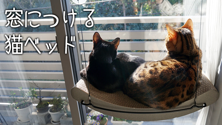 吸盤で貼り付ける、猫用窓ベッドを使ってみた！｜ベンガル猫のテトとピノ