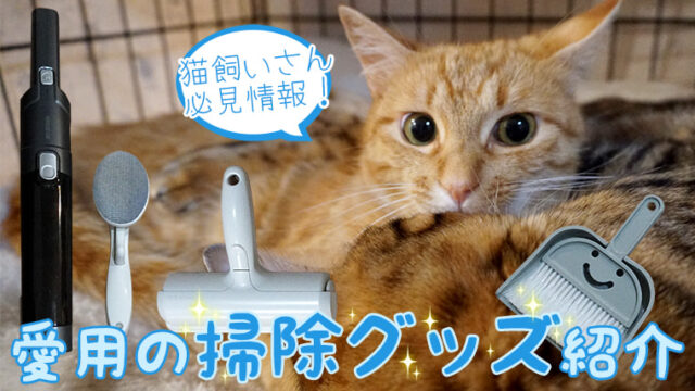 猫デザインスマホケースの人気ランキングと詳細レビュー 8 %E7%8C%AB%E3%81%AE%E3%81%84%E3%82%8B%E6%9A%AE%E3%82%89%E3%81%97%E3%81%AB%E3%81%8A%E3%81%99%E3%81%99%E3%82%81%E3%81%AE%E6%8E%83%E9%99%A4%E9%81%93%E5%85%B7 01