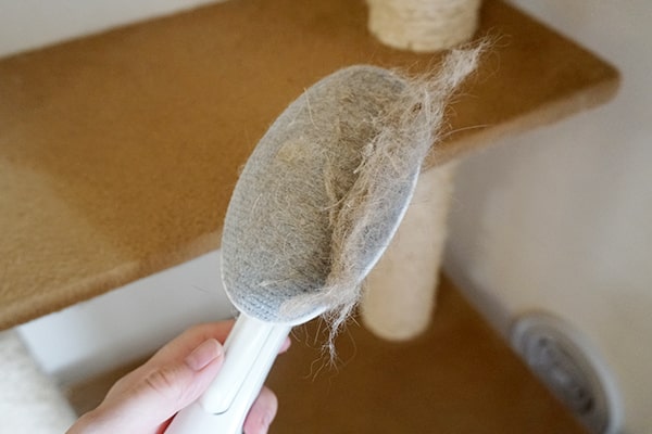 猫トイレや猫の毛に役立つ掃除用品