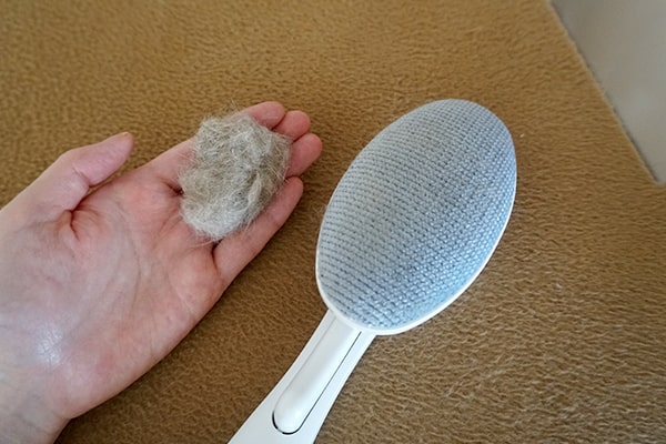 猫トイレや猫の毛に役立つ掃除用品