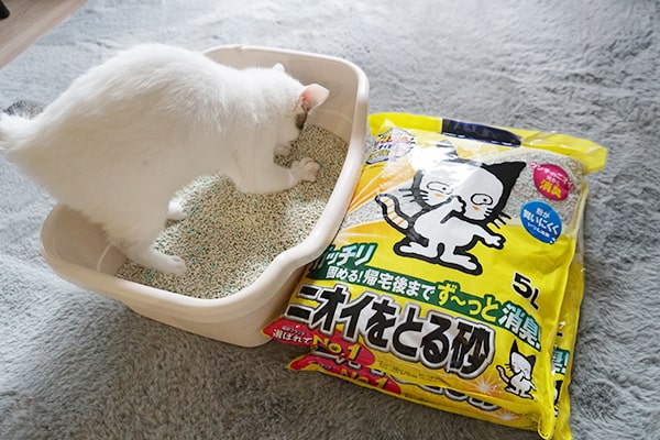 猫が好きなおすすめの猫砂